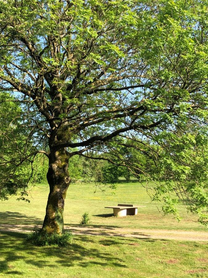 Domaine De Tapies 2 Gites Jusqu A 19 Personnes Cornus 外观 照片